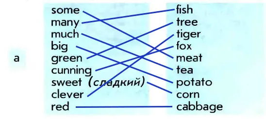 Задание 6