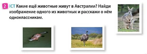 Задание 2
